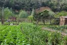 La UAB i l'Ajuntament de Sabadell participen en un projecte europeu per promoure l'agricultura local i sostenible