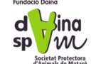 Dissabte 17 se celebra la segona etapa: 40 Km descalç entre L'Ametlla i Badalona