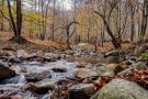 AMPLIACIÓ:Tanquen tots els accessos amb vehicle privat al Parc Natural del Montseny un cop s'han omplert els aparcaments oficials