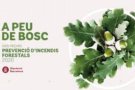 L'Agrupació de Defensa Forestal de Terrassa opta als Premis de Prevenció d’Incendis Forestals 2020 de la Diputació de Barcelona