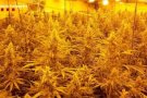 Mossos d’Esquadra realitzen un macrodispositiu a diferents poblacions del Vallès i desarticulen una organització criminal dedicada al tràfic de drogues