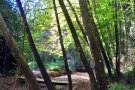 Sabadell reobre el torrent de Colobrers un cop restaurat