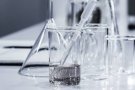 Investigadors de la UAB lideren una recerca per a nous antibiòtics contra microorganismes multiresistents