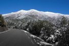 AMPLIACIÓ: El Montseny s'omple de visitants per anar a veure la neu