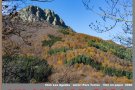 Comença una nova edició del concurs 'Continuat de Fotografia' a Sant Antoni de Vilamajor
