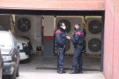 Una vintena de detencions en l'operatiu de Mossos contra el tràfic de marihuana