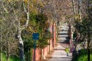 L'Ajuntament de Santa Perpètua rep més de 380.000 euros per millorar el camí de la Granja