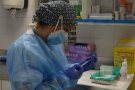 Als CAP de Mollet vacunen als majors de 80 anys, cuidadors i persones dependents