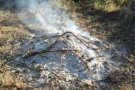 Del 15 de març al 15 d'octubre està prohibit fer foc al bosc