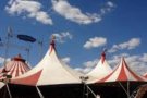 AMPLIACIÓ:Torna el Circ Cric amb espectacles de proximitat i la intenció d'ampliar el programa quan la covid ho permeti