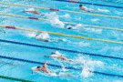 Prop de 50.000 euros en ajuts extraordinaris a les entitats esportives de les Franqueses del Vallès