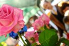 Sol·licitud de parades a Cardedeu per la Diada de Sant Jordi 2021