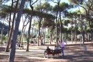 Ja està en marxa el projecte de renovació del parc dels Pinetons de la Garriga