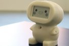 'Vöbu', el mini-robot matadeperenc