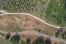 Apareix el 'Drac de la Serreta' a Cardedeu