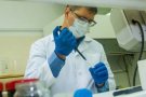Investigadors de la UAB troben una molècula que aïlla la toxicitat de la proteïna que dona pas al Parkinson