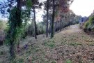 Formen una franja per a la protecció d'incendis al Turó de Can Palet