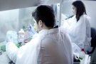Segons un estudi de la UAB, la depressió, el parkinson i l'ELA podrien ser tractats amb un fragment de la toxina del tètanus
