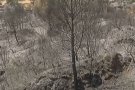 Són desallotjades almenys dues famílies per l'incendi proper a la urbanització de les Martines de Terrassa