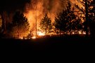 L'incendi que ha cremat 8,4 hectàrees de vegetació ja està controlat