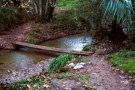Tancament de les entrades al camí fluvial per risc extrem d'incendi forestal