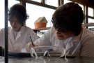 Investigadors de la UAB inventen un model matemàtic que avalua el perill de mort dels pacients a l'UCI