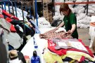Humana recupera 1,3 milions de pecesde roba alVallès Oriental