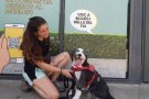 La regidoria de Medi Ambient de Bigues i Riells del Fai fomenta una campanya de sensibilització per a les persones amb animals de companyia