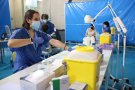 Gairebé un 80% dels habitants de Mollet majors de 12 anys ja tenen la pauta completa de les vacunes contra la Covid-19