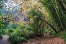 A causa de les destrosses per les pluges del dilluns han tancat el torrent de Colobrers a Sabadell