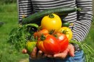 El Vallès Occidental ha pogut salvar menjar procedent de les escoles per poder alimentar unes 3.000 famílies