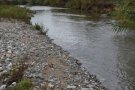 L'empresa Ditecsa està duent a terme un projecte de restauració degut als greus danys ambientals que va causar al riu Besòs