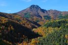 El Parc Natural del Montseny elabora un pla per fomentar la ramaderia extensiva