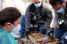 Exhumen el cos d'un nadó al cementiri de Sabadell per comprovar si va ser robat