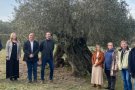 Una desena de municipis s'han trobat per reconèixer la Denominació d'Origen de l'Oli de Vera del Vallès