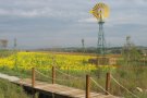 La bona gestió al Parc dels Pinetons, a Mollet, ajuda la biodiversitat i a la preservació d'espècies en perill d'extinció