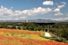 La nova junta de Gallecs continuarà lluitant per la conservació de l'espai natural
