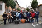 Les taronges al carrer de Santa Rosa es transformen en melmelada