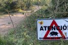 Convoquen concentracions a l'Ametlla del Vallès i a Martorelles contra les batudes de senglars