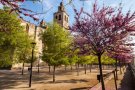 Un estudi conclou que l'arbrat redueix en 448 quilos diaris el diòxid de carboni a Sant Cugat del Vallès
