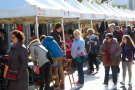Torna la Fira d'Entitats de la Roca del Vallès amb més força que mai