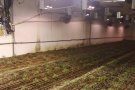 Detingut un home per instal·lar un cultiu de marihuana en un edifici en obres de Lliçà d'Amunt