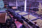 Desmantellen un cultiu de marihuana de 256 plantes a una nau industrial a Polinyà