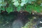 Troben el cos d'una dona morta a la riera Carbonell, entre Granollers i Les Franqueses
