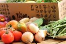 El Vallès Oriental segueix l'ofici dels besavis amb un nou tipus d'agricultura