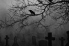Els túnels del terror tornen aquest mes al Vallès