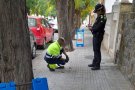 Caldes de Montbui posa en marxa una campanya d'identificació genètica dels excrements de gossos als carrers del municipi