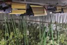 Els Mossos detenen a dues persones després d'incendiar-se el pis on cultivaven quasi 400 plantes de marihuana