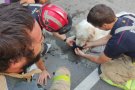Rescaten un gos a Terrassa que portava tancat tres dies en un balcó sense aigua ni menjar