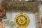 La Policia Local i els Mossos d'Esquadra desmantellen una plantació de 815 plantes de marihuana a Bigues i detenen dues persones